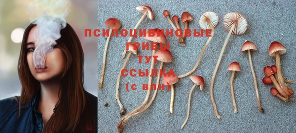 ГАЛЛЮЦИНОГЕННЫЕ ГРИБЫ Зеленокумск