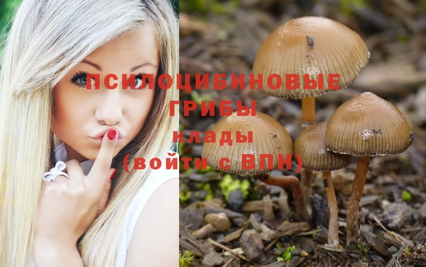 героин Зерноград